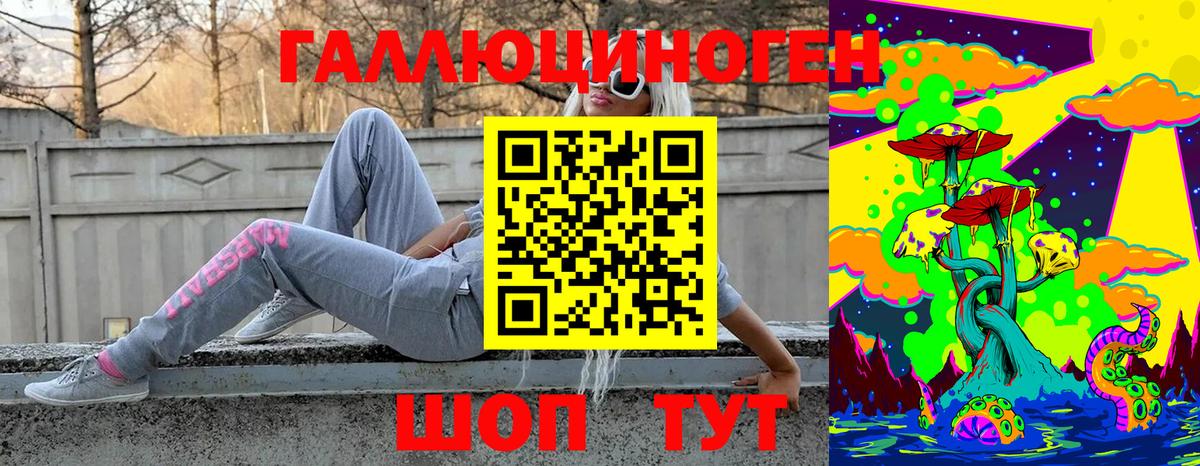 Псилоцибиновые грибы Magic Shrooms  Вход с VPN  Тамбов  Псилоцибиновые грибы ЛСД 
