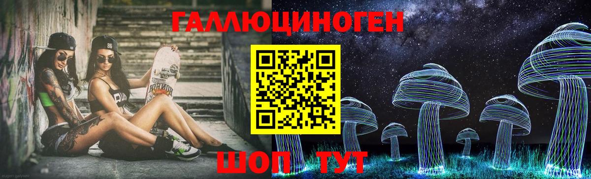 Псилоцибиновые грибы Cubensis Тамбов